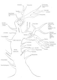 The Caffeine Tree