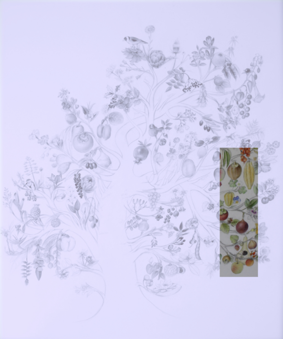 phylogenetic tree A;  ©Beatrice Häsler